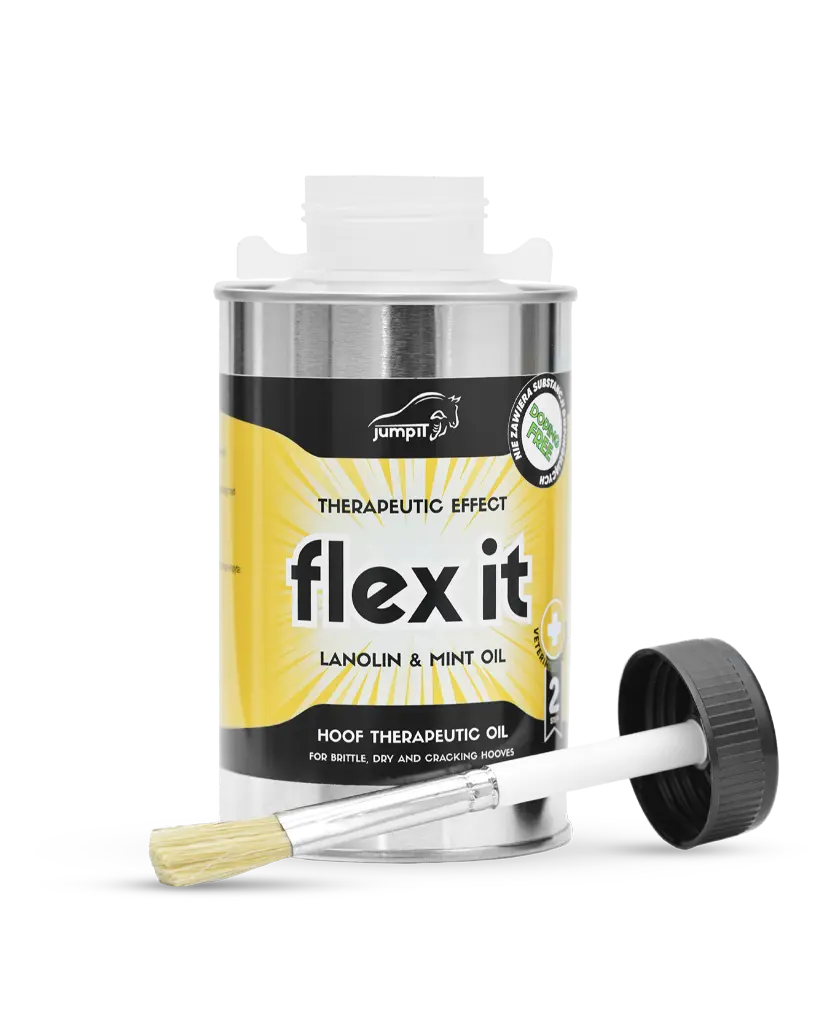 Flexit_can_open – ze zmianami.webp